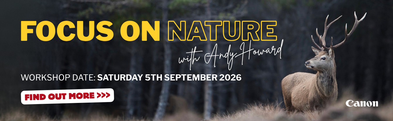 Image Focus on Nature1.png